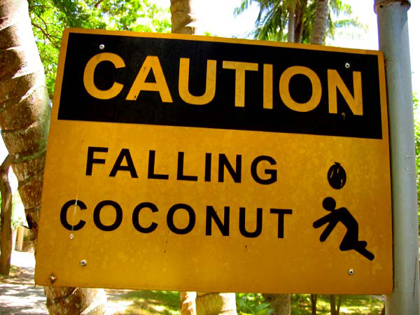 coconut-sign