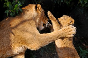 Jeevana playing with her young sister
