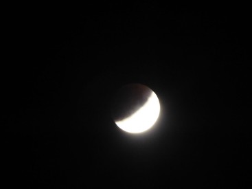 P1010880_proc.jpg